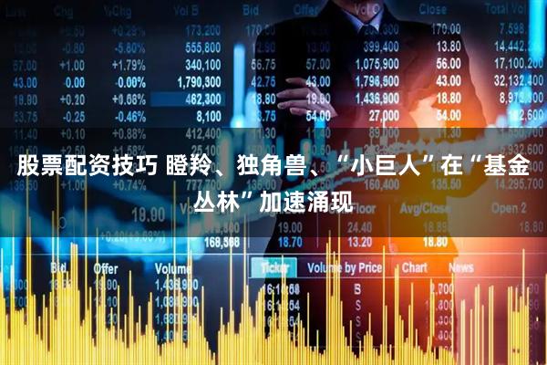 股票配资技巧 瞪羚、独角兽、“小巨人”在“基金丛林”加速涌现